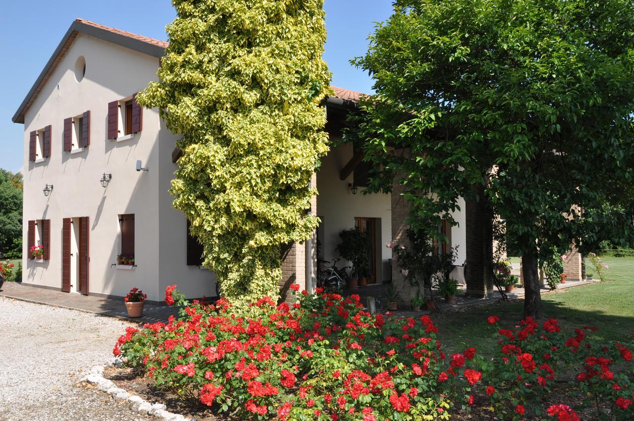 Agriturismo Ancillotto Meolo Exteriér fotografie